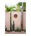 BAZAR BIZAR The Jasmine Bord - Bruin - S