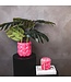 Housevitamin Pot - Kisses - Keramiek - Neon Roze - 17,5x17,5x17,5cm