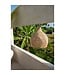 BAZAR BIZAR The Lobster Trap Hanger - Naturel - L