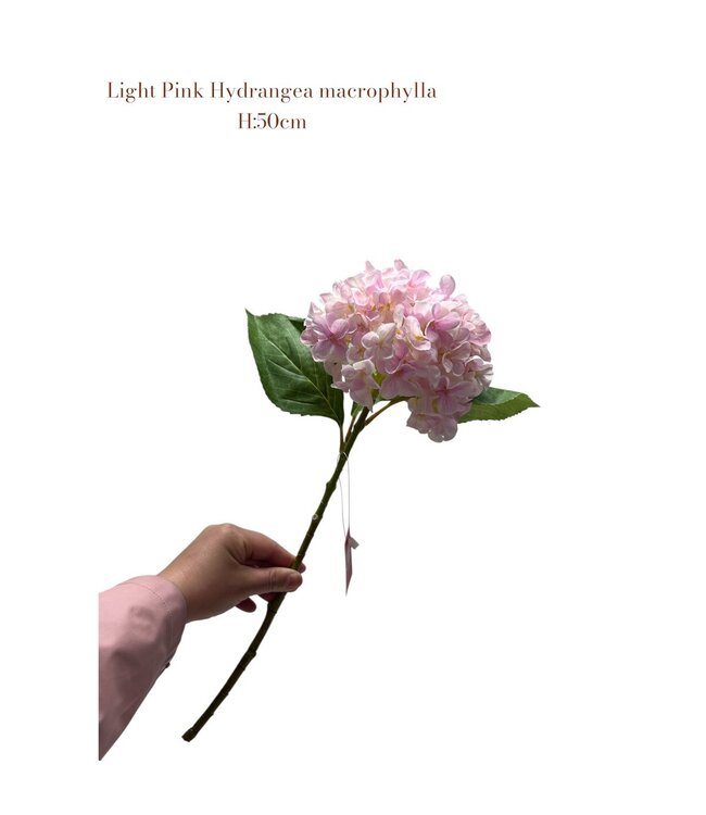 QMF Trading Artificial flowers Hydrangea Macrophylla Light Pink | Zijden kunstbloem | Lengte 50 1pcs