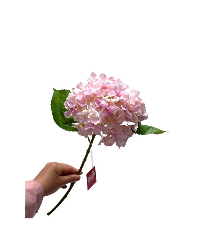 QMF Trading Artificial flowers Hydrangea Macrophylla Light Pink | Zijden kunstbloem | Lengte 50 1pcs