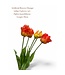 QMF Trading Artificial flowers Orange tulips 5 pieces/set | Zijden kunstbloem | Lengte 35cm