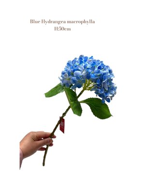 QMF Trading Artificial flowers Hydrangea Macrophylla Blue | Zijden kunstbloem | Lengte 50 1pcs