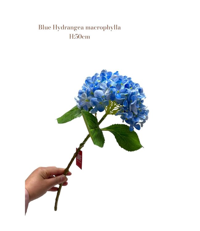 QMF Trading Artificial flowers Hydrangea Macrophylla Blue | Zijden kunstbloem | Lengte 50 1pcs