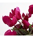 Mica Decorations Cyclaam Kunstplant in Bloempot Stan - H30 x Ø30 cm - Donkerroze