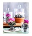 Mica Decorations Cyclaam Kunstplant in Bloempot Stan - H30 x Ø30 cm - Donkerroze