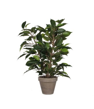 Mica Decorations Ficus Natasja Kunstplant in Bloempot Stan - H40 x Ø30 cm - Groen