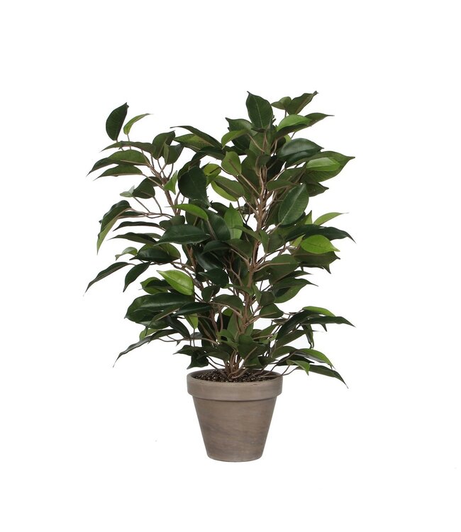 Mica Decorations Ficus Natasja Kunstplant in Bloempot Stan - H40 x Ø30 cm - Groen