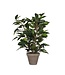 Mica Decorations Ficus Natasja Kunstplant in Bloempot Stan - H40 x Ø30 cm - Groen