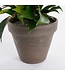 Mica Decorations Ficus Natasja Kunstplant in Bloempot Stan - H40 x Ø30 cm - Groen