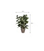 Mica Decorations Ficus Natasja Kunstplant in Bloempot Stan - H40 x Ø30 cm - Groen