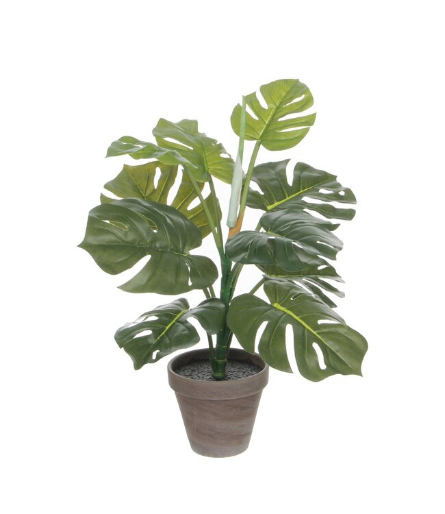 Mica Decorations Monstera Kunstplant in Bloempot Stan - H48 x Ø39 cm - Groen