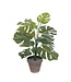Mica Decorations Monstera Kunstplant in Bloempot Stan - H48 x Ø39 cm - Groen