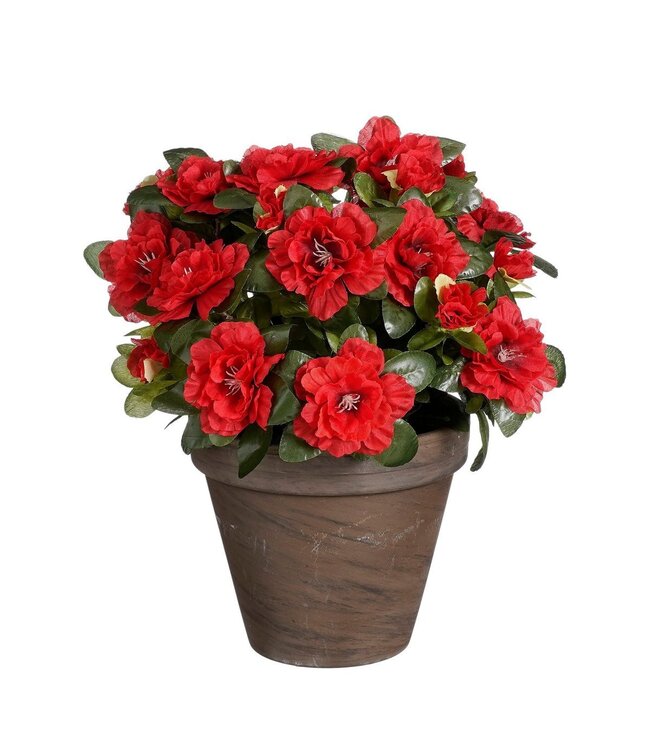 Mica Decorations Azalea Kunstplant in Bloempot Stan - H31 x Ø26 cm - Rood
