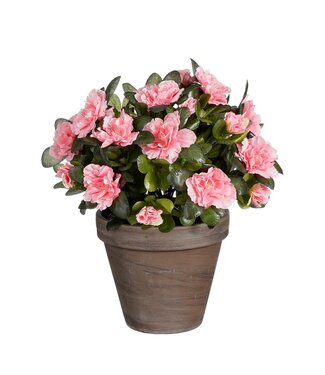Mica Decorations Azalea Kunstplant in Bloempot Stan - H31 x Ø26 cm - Perzik
