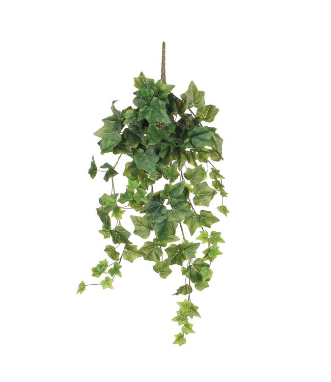Mica Decorations Hedera Kunst Hangplant - H71 cm - Groen