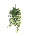 Mica Decorations Hedera Kunst Hangplant - H71 cm - Groen