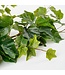 Mica Decorations Hedera Kunst Hangplant - H71 cm - Groen