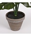 Mica Decorations Monstera Kunstplant in Bloempot Stan - H48 x Ø39 cm - Groen