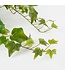 Mica Decorations Hedera Kunst Hangplant - H71 cm - Groen