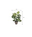 Mica Decorations Monstera Kunstplant in Bloempot Stan - H48 x Ø39 cm - Groen