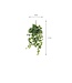 Mica Decorations Hedera Kunst Hangplant - H71 cm - Groen