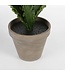 Mica Decorations Asplenium Kunstplant in Bloempot Stan - H54 x Ø66 cm - Groen