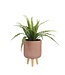 Mica Decorations Asplenium Kunstplant in Bloempot Stan - H54 x Ø66 cm - Groen