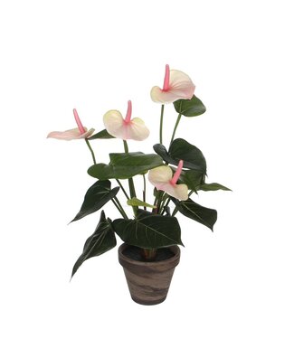 Mica Decorations Anthurium Kunstplant in Bloempot Stan - H40 x Ø30 cm - Lichtroze