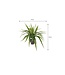 Mica Decorations Asplenium Kunstplant in Bloempot Stan - H54 x Ø66 cm - Groen