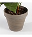 Mica Decorations Anthurium Kunstplant in Bloempot Stan - H40 x Ø30 cm - Lichtroze