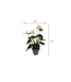 Mica Decorations Anthurium Kunstplant in Bloempot Stan - H40 x Ø30 cm - Lichtroze