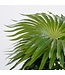 Mica Decorations Palm Kunstplant in Bloempot Stan - H40 x Ø35 cm - Groen