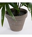 Mica Decorations Palm Kunstplant in Bloempot Stan - H40 x Ø35 cm - Groen