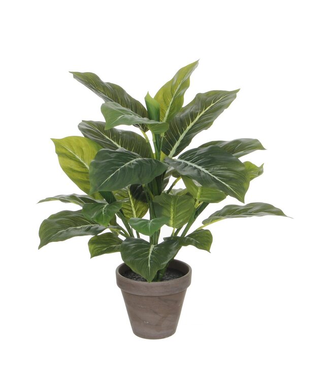 Mica Decorations Evergreen Kunstplant in Bloempot Stan - H49 x Ø40 cm - Groen