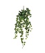 Mica Decorations Hedera Kunst Hangplant - H86 cm - Groen
