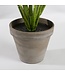 Mica Decorations Evergreen Kunstplant in Bloempot Stan - H49 x Ø40 cm - Groen
