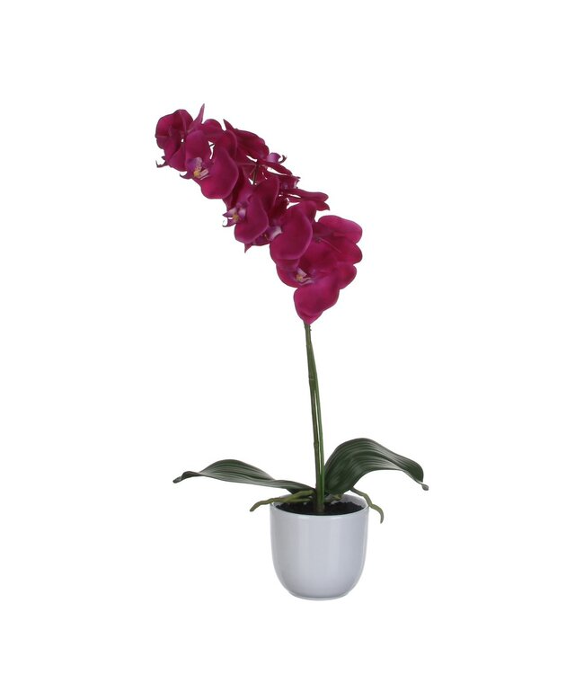 Mica Decorations Phalaenopsis Kunstplant in Bloempot Tusca - H60 x Ø16 cm - Paars