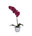 Mica Decorations Phalaenopsis Kunstplant in Bloempot Tusca - H60 x Ø16 cm - Paars