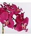 Mica Decorations Phalaenopsis Kunstplant in Bloempot Tusca - H60 x Ø16 cm - Paars