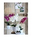 Mica Decorations Phalaenopsis Kunstplant in Bloempot Tusca - H60 x Ø16 cm - Paars