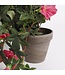 Mica Decorations Petunia Kunst Hangplant in Bloempot Stan - L25 x B45 x H50 cm - Donkerroze