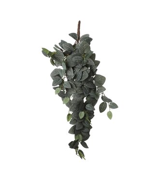 Mica Decorations Fittonia Kunst Hangplant - L15 x B20 x H54 cm - Groen