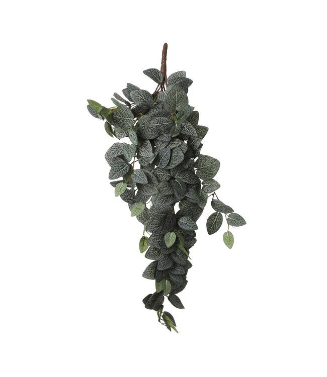 Mica Decorations Fittonia Kunst Hangplant - L15 x B20 x H54 cm - Groen