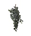 Mica Decorations Fittonia Kunst Hangplant - L15 x B20 x H54 cm - Groen