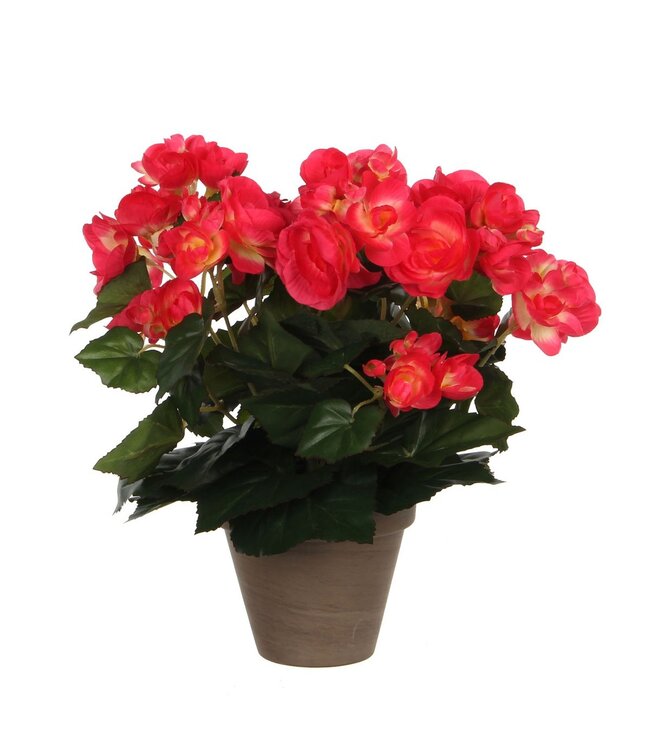 Mica Decorations Begonia Kunstplant in Bloempot Stan - H30 x Ø25 cm - Donkerroze