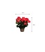 Mica Decorations Begonia Kunstplant in Bloempot Stan - H30 x Ø25 cm - Donkerroze