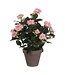 Mica Decorations Rozenstruik Kunstplant in Bloempot Stan - H33 x Ø25 cm - Roze