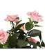 Mica Decorations Rozenstruik Kunstplant in Bloempot Stan - H33 x Ø25 cm - Roze