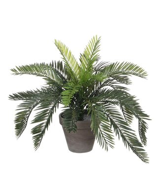Mica Decorations Cycas Palm Kunstplant in Bloempot Stan - H37 x Ø44 cm - Groen